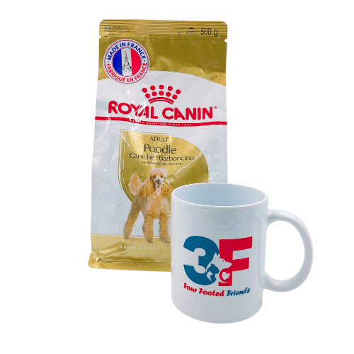 Thức Ăn Cho Chó Royal Canin Poodle Adult - 500GR: CHÓ TRƯỞNG THÀNH