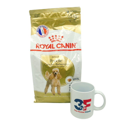 Thức ăn cho chó Royal Canin Poodle Adult - 1,5KG: CHÓ TRƯỞNG THÀNH