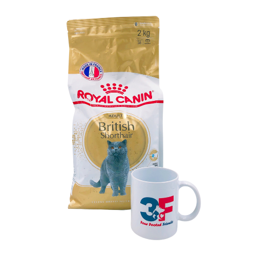 Thức Ăn Cho Mèo Royal Canin British Shorthair Adult - 2KG