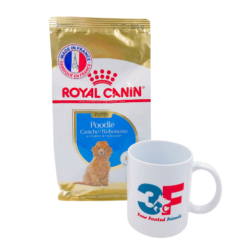 Thức ăn chó con Royal Canin Poodle Junior - 500GR: CHÓ CON