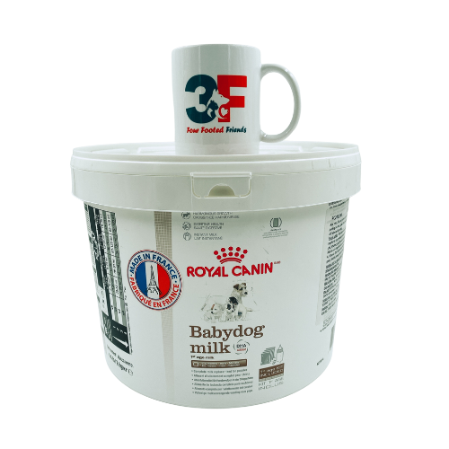 Sữa Babydog Milk Royal Canin - THÙNG 2KG: SỮA CHÓ CON