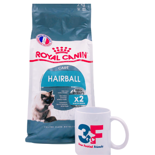 Thức Ăn Cho Mèo Royal Canin Hairball Care 2kg: HỖ TRỢ TIÊU BÚI LÔNG