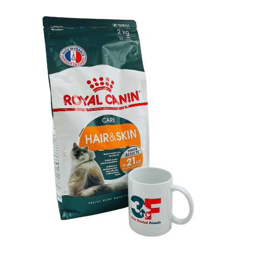 Thức Ăn Cho Mèo Royal Canin Hair & Skin Care - 2KG: CHĂM SÓC DA LÔNG