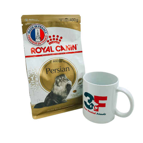 Thức Ăn Cho Mèo Royal Canin Persian Kitten: 400GR: MÈO CON